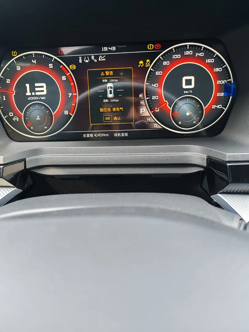 Nissan Venucia - 2