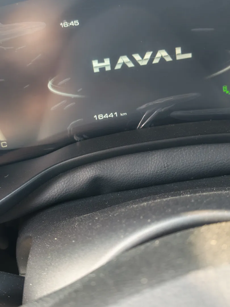 Haval Julion - 6