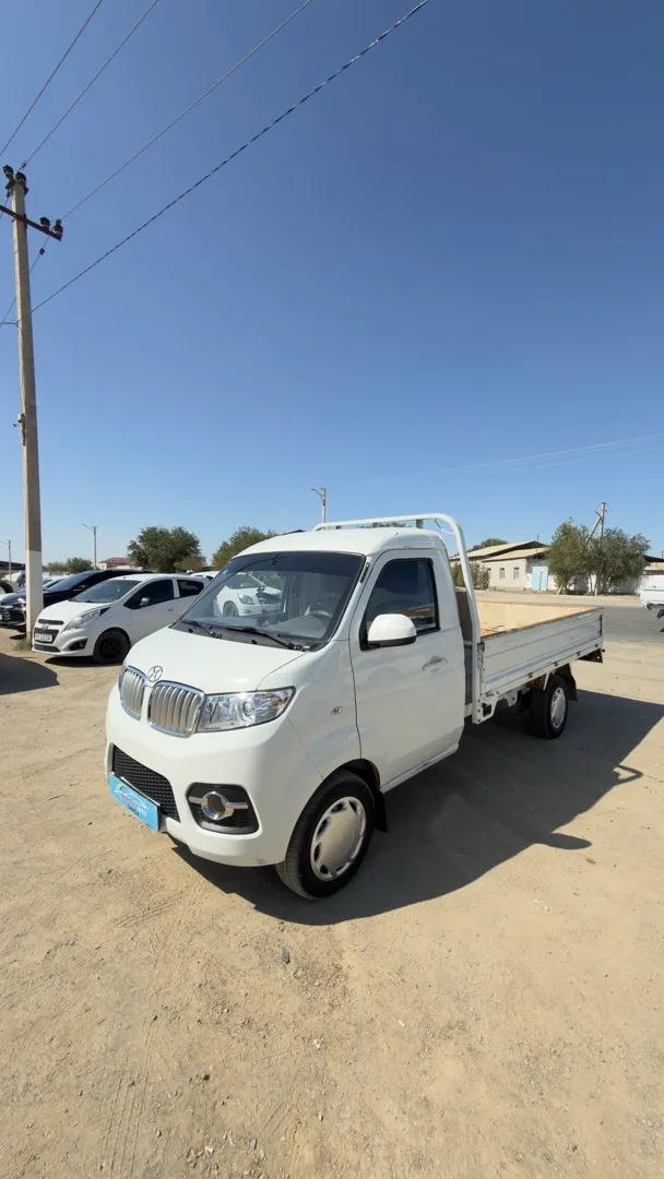 Mini Shinaray T30 - 3